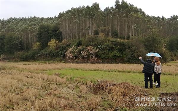 成都市陈老师带着爱徒寻龙点穴